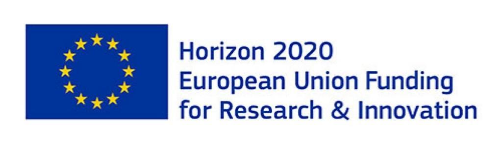 logo_horizon 2020