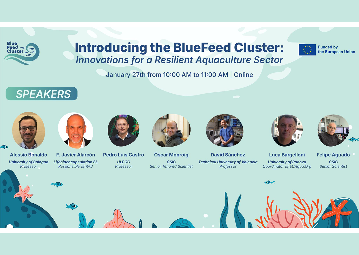 2601 – bluefeed_cluster_XXL