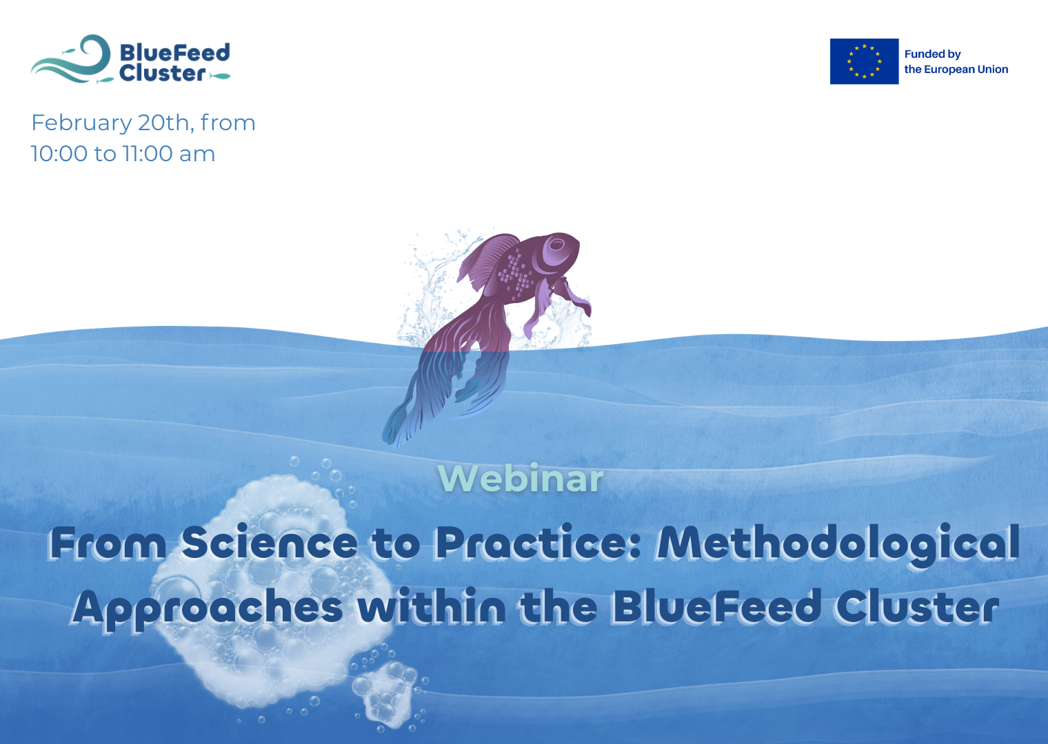 Nuevo Webinar BlueFeed Cluster