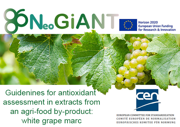 Directrices para la evaluación de antioxidantes en extractos de un subproducto agroalimentario: bagazo de uva blanca.