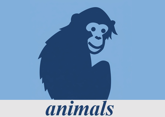 Publicación científica en Animals